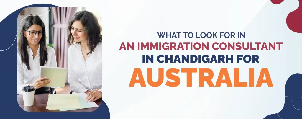 WHAT TO LOOK FOR IN AN IMMIGRATION CONSULTANT IN CHANDIGARH FOR AUSTRALIA?